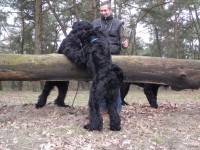 /album/fotogalerij-fotogalerij-3/foto-s-1103-2011-079-jpg/